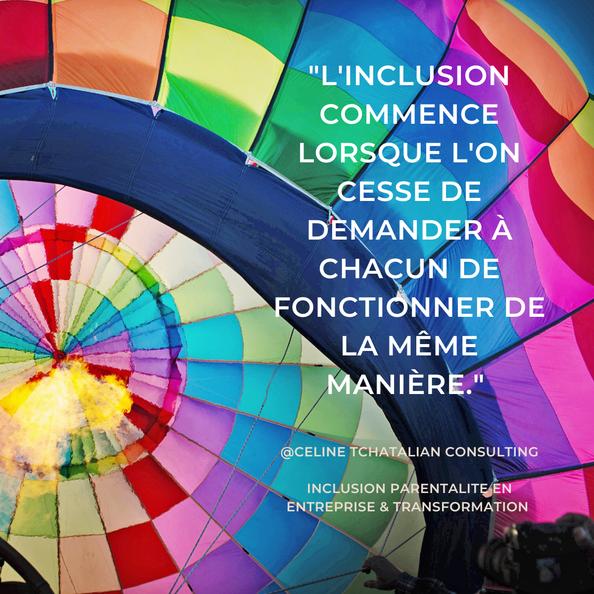 Poster Inclusion Céline Tchatalian Consulting