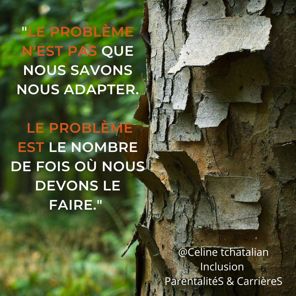 Poster Adaptations successives Céline Tchatalian Consulting